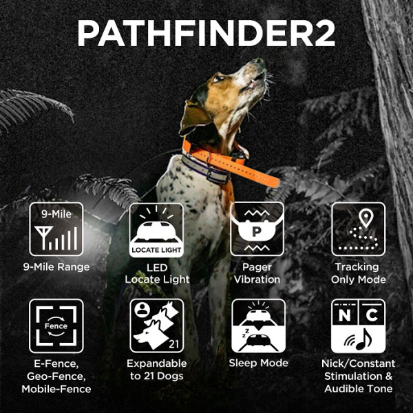 GPS DLA PSA Pathfinder 2
