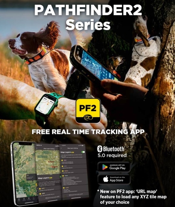 gps dla psa dogtra compass