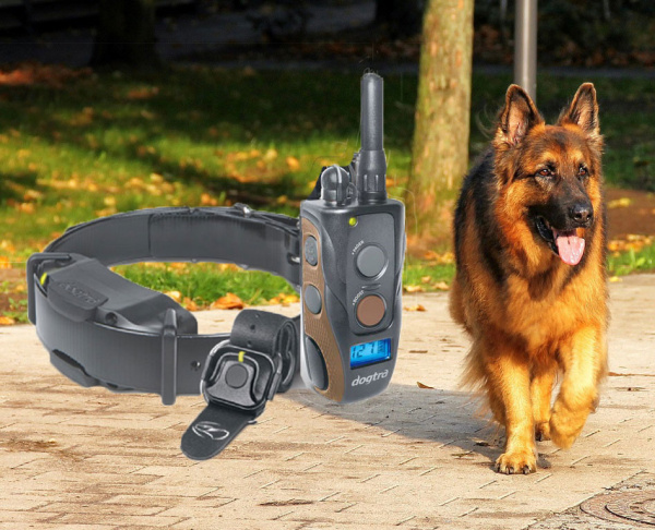 Obroża elektryczna dla dużych ras Dogtra ARC 1200S FREE PLUS