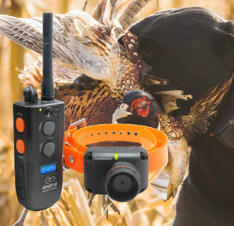 Dogtra 2500 T&B BEEPER Dogtra 2500 T&B BEEPER