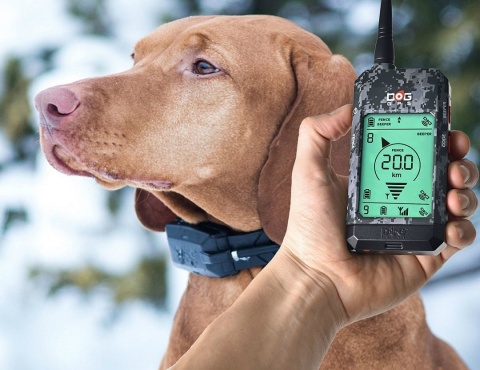 DOGTRACE GPS X20 zasięg 20 Km Dla 3 psów Myśliwskich DOGTRACE GPS X20 zasięg 20 Km Dla 3 psów Myśliwskich