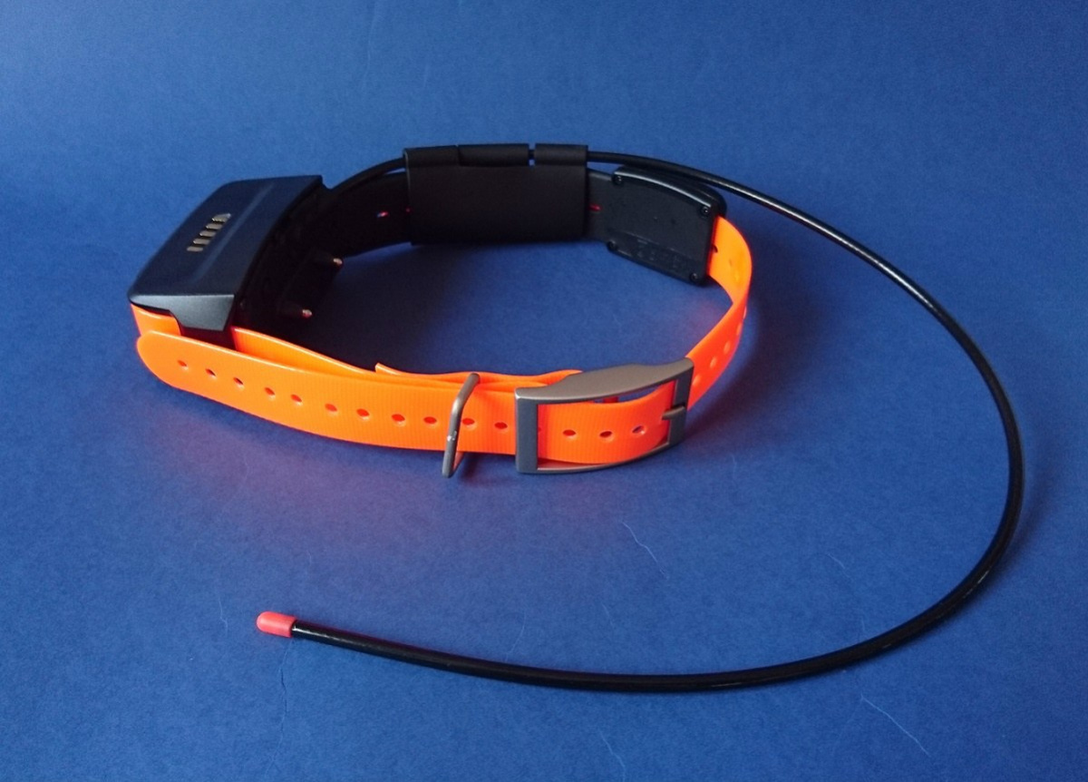 Dodatkowa obroża Garmin TT15 z funkcją śledzenia i szkolenia psa pasek pomarańczowy Dodatkowa obroża Garmin TT15 z funkcją śledzenia i szkolenia psa pasek pomarańczowy