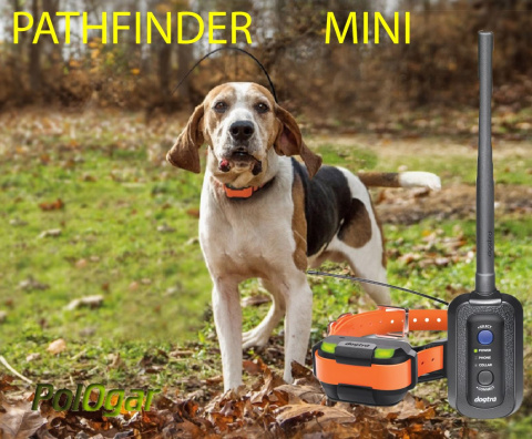 GPS dla psa PATHFINDER MINI