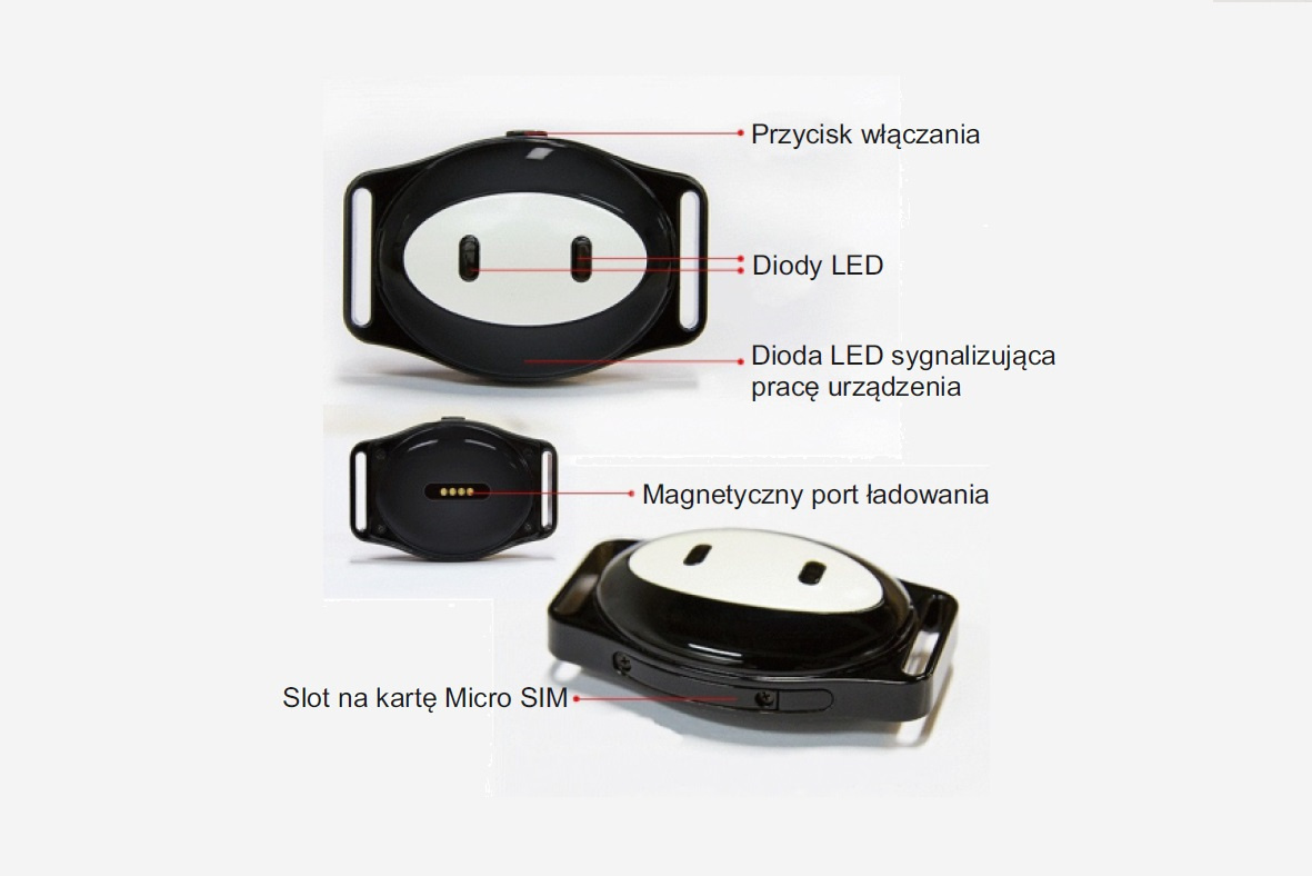 Gps dla psa Garett Papi 3 Gps dla psa Garett Papi 3