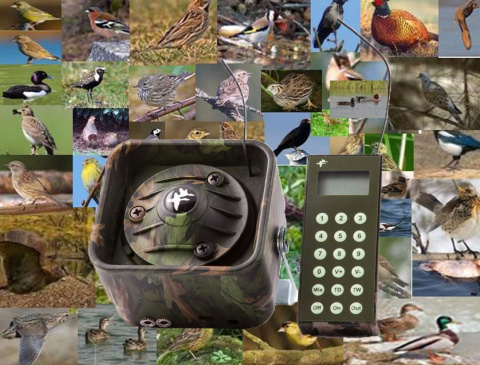 wabik elektroniczny na ptaki wabik elektroniczny na ptaki