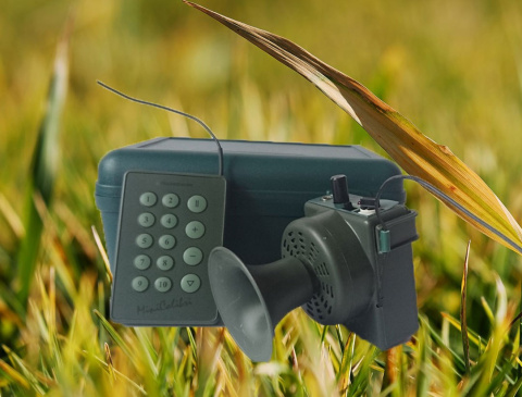 wabik elektroniczny wabik elektroniczny