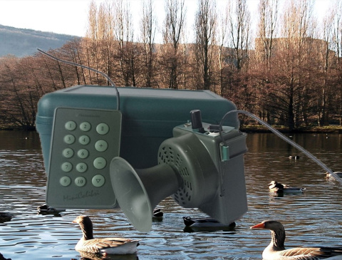 wabik na kaczki i gęsi wabik na kaczki i gęsi