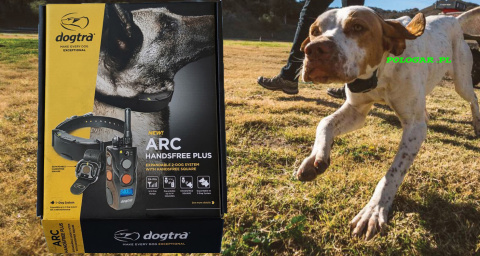 Obroża do tresury psa dogtra ARC HANDSFREE PLUS Obroża do tresury psa dogtra ARC HANDSFREE PLUS