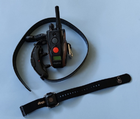 obroża elektryczna Dogtra ARC Handsfree PLUS obroża elektryczna Dogtra ARC Handsfree PLUS