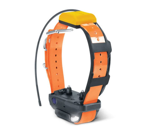 Dodatkowy nadajnik gps dogtra PATHFINDER 2 pomarańczowy dla dużych ras psów Dodatkowy nadajnik gps dogtra PATHFINDER 2 pomarańczowy dla dużych ras psów