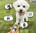 Dogtra iQ FLEX dla 2 psów zasięg 400 metrów
