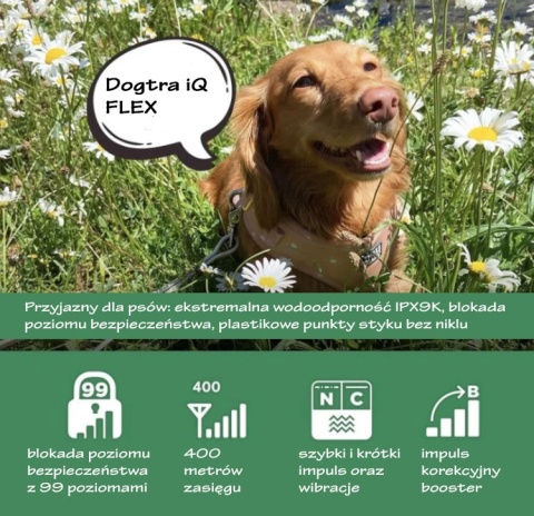 Dogtra iQ FLEX dla 2 psów zasięg 400 metrów Dogtra iQ FLEX dla 2 psów zasięg 400 metrów