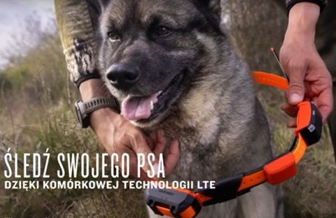 GPS dla psa Garmin Alpha LTE Urządzenie do śledzenia psów z komórkową technologią LTE GPS dla psa Garmin Alpha LTE Urządzenie do śledzenia psów z komórkową technologią LTE