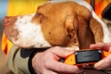GPS dla psa Garmin Alpha LTE Urządzenie do śledzenia psów z komórkową technologią LTE