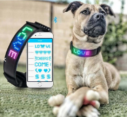 Świecąca obroża dla psa LED magic display z Ładowarką 5V 1A