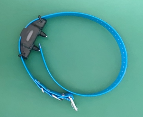 dodatkowa niebieska obroża arc-x