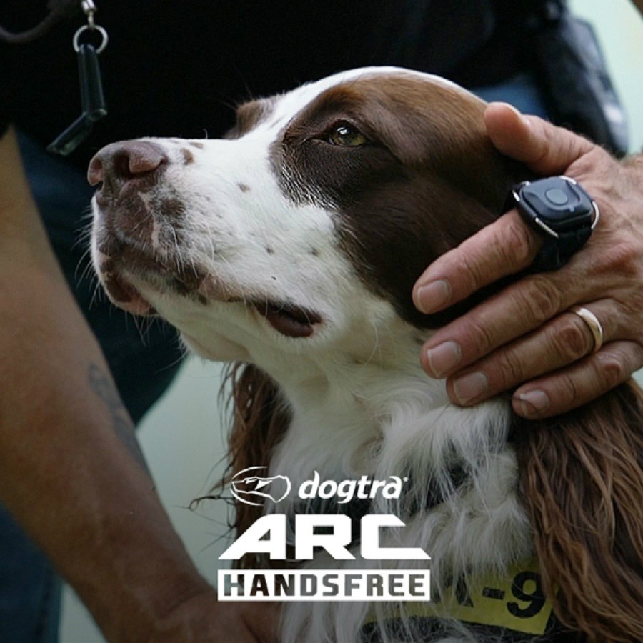 Dla 2 psów obroże elektrycze Dogtra ARC 802 Handsfree PLUS